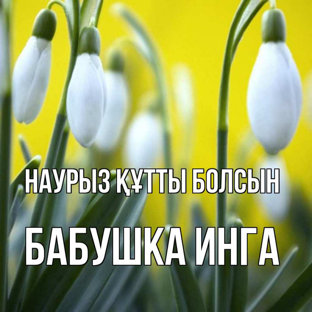 Открытка на каждый день с именем, Бабушка-Инга Наурыз құтты болсын весенние цветы Прикольная открытка с пожеланием онлайн скачать бесплатно 