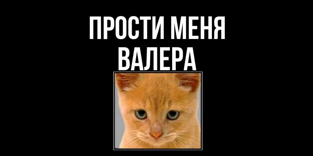 Открытка на каждый день с именем, Валера Прости меня рыжий грустный кот просит прощения Прикольная открытка с пожеланием онлайн скачать бесплатно 