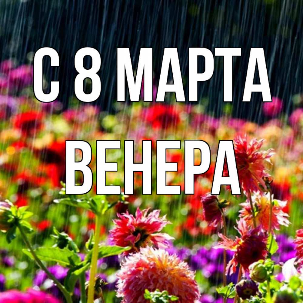 Открытка на каждый день с именем, Венера С 8 МАРТА цветы под дождиком к международному женскому дню Прикольная открытка с пожеланием онлайн скачать бесплатно 