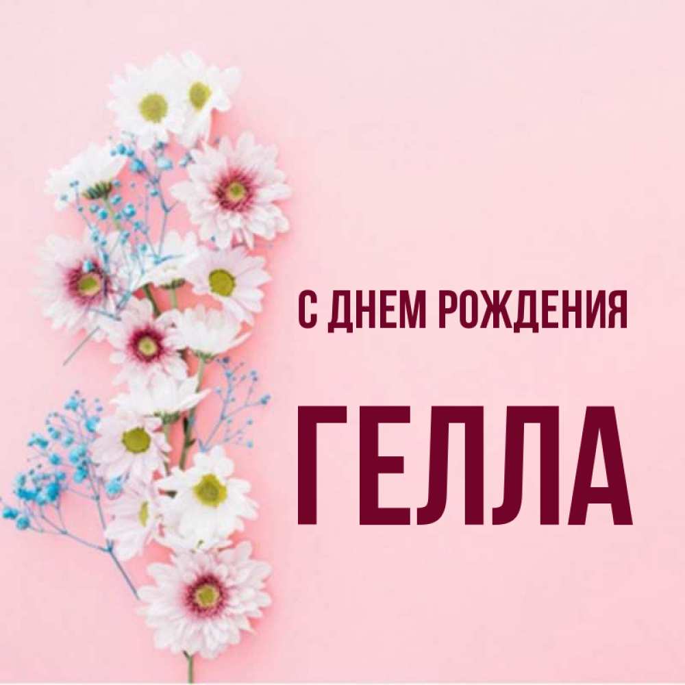 Открытка на каждый день с именем, Гелла С днем рождения Родная моя с днем рождения тебя картинка с цветами белыми и голубыми Прикольная открытка с пожеланием онлайн скачать бесплатно 