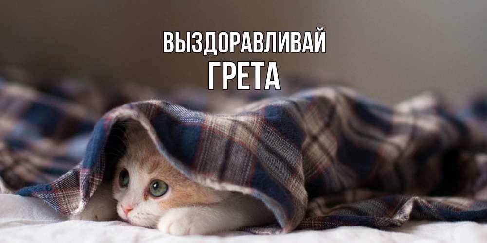 Открытка на каждый день с именем, Грета Выздоравливай не болейте с котиком Прикольная открытка с пожеланием онлайн скачать бесплатно 