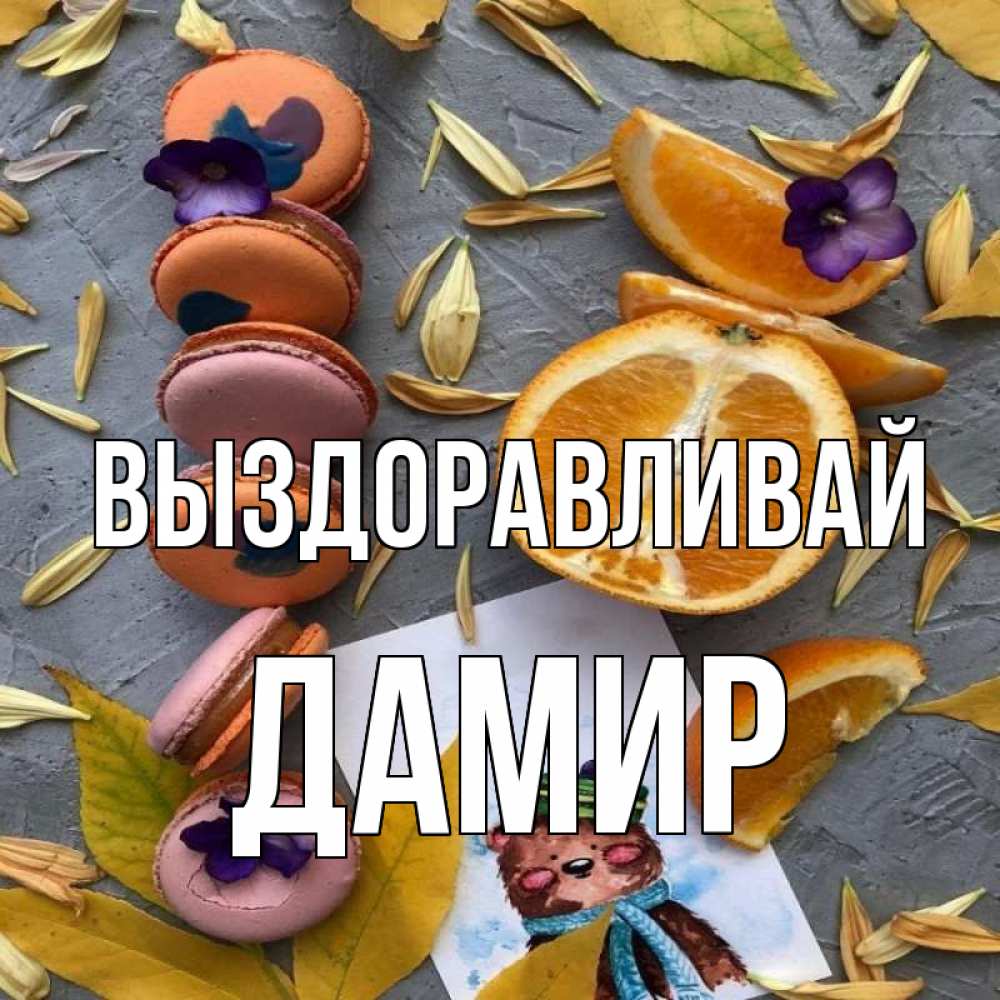 Открытка на каждый день с именем, Дамир Выздоравливай не болейте Прикольная открытка с пожеланием онлайн скачать бесплатно 
