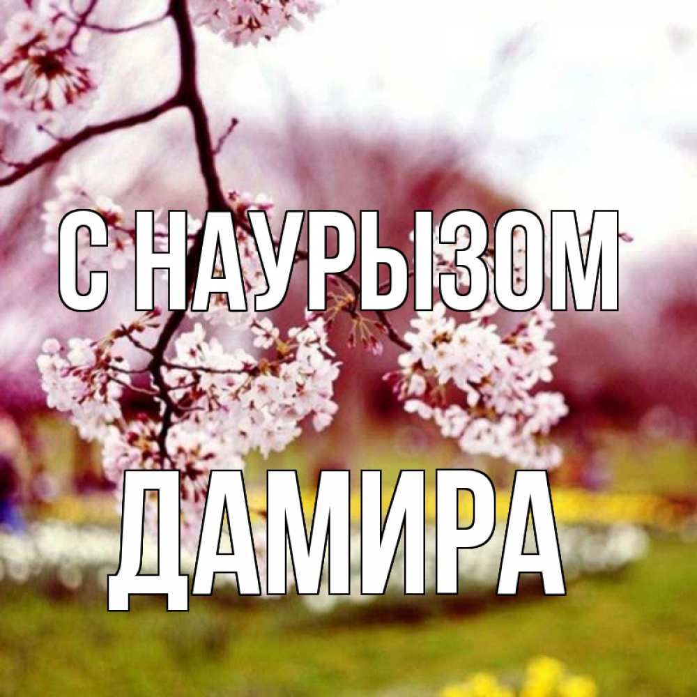 Открытка на каждый день с именем, Дамира С наурызом яблоня Прикольная открытка с пожеланием онлайн скачать бесплатно 