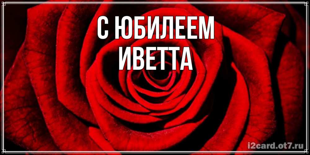 Открытка на каждый день с именем, Иветта С юбилеем алая роза Прикольная открытка с пожеланием онлайн скачать бесплатно 