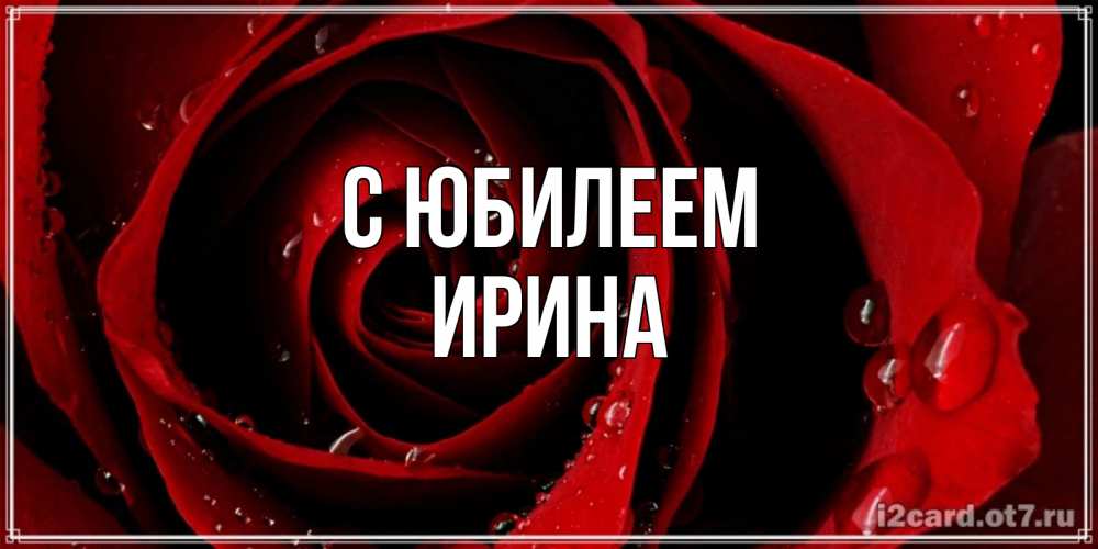 Открытка на каждый день с именем, Ирина С юбилеем крупная бордовая роза Прикольная открытка с пожеланием онлайн скачать бесплатно 