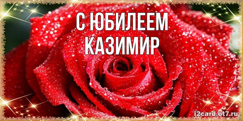 Открытка на каждый день с именем, Казимир С юбилеем роса и роза. открытка с красивой розой Прикольная открытка с пожеланием онлайн скачать бесплатно 