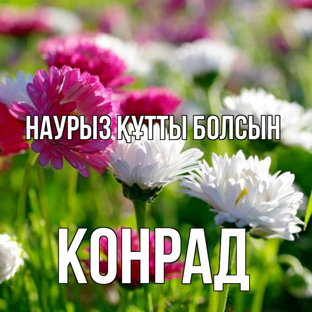 Открытка на каждый день с именем, Конрад Наурыз құтты болсын наурыз Прикольная открытка с пожеланием онлайн скачать бесплатно 