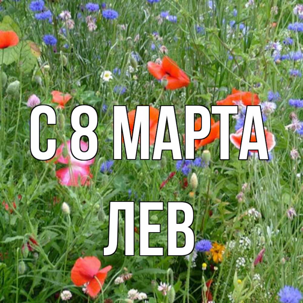 Открытка на каждый день с именем, Лев С 8 МАРТА международный женский день 4 Прикольная открытка с пожеланием онлайн скачать бесплатно 