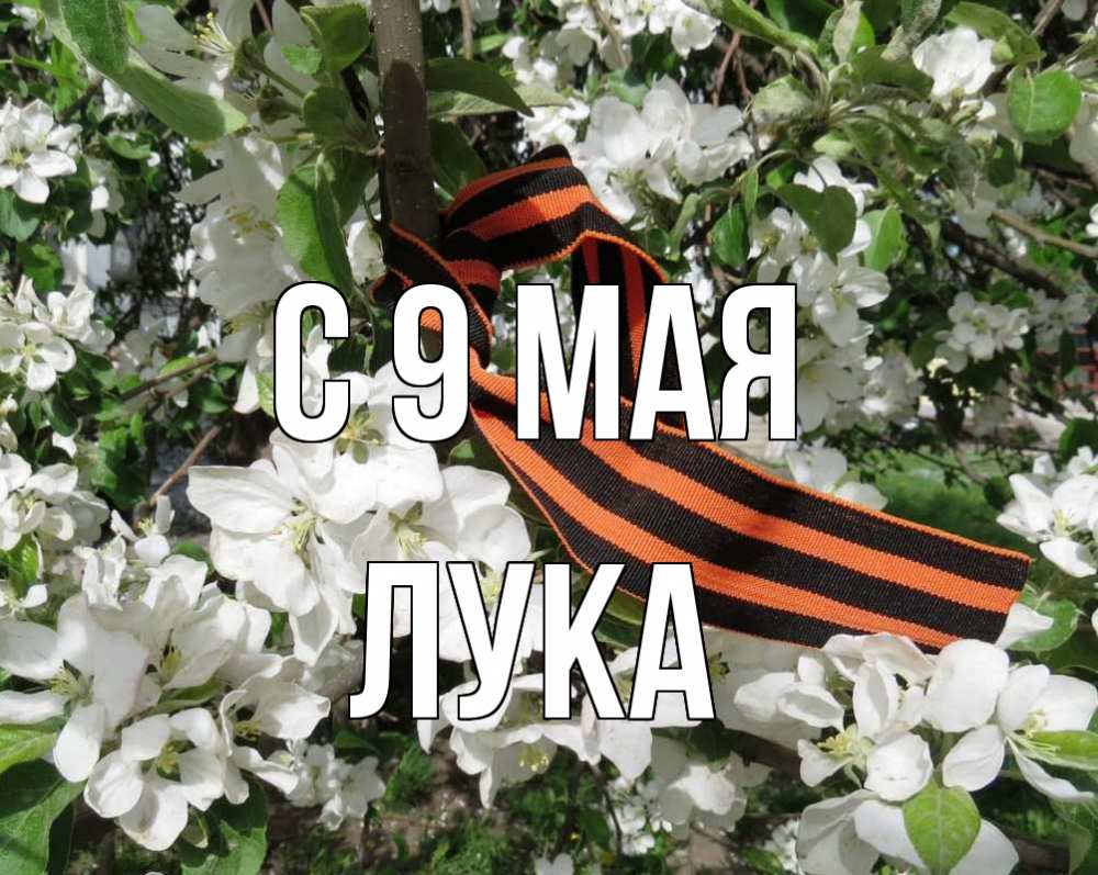 Открытка на каждый день с именем, Лука С 9 мая 9 мая Прикольная открытка с пожеланием онлайн скачать бесплатно 