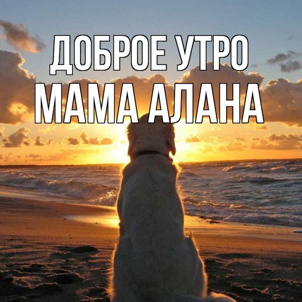 Открытка на каждый день с именем, Мама-Алана Доброе утро восход солнца Прикольная открытка с пожеланием онлайн скачать бесплатно 