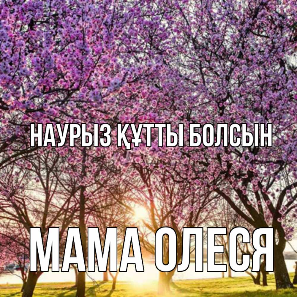 Открытка на каждый день с именем, Мама-Олеся Наурыз құтты болсын наурыз Прикольная открытка с пожеланием онлайн скачать бесплатно 