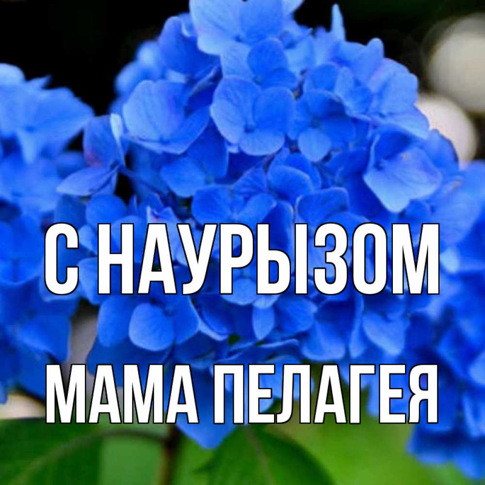 Открытка на каждый день с именем, Мама-Пелагея С наурызом синие цветы Прикольная открытка с пожеланием онлайн скачать бесплатно 