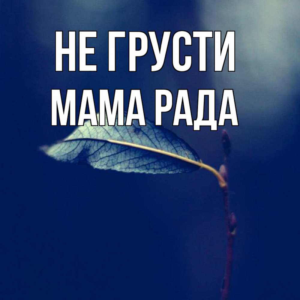 Открытка на каждый день с именем, Мама-Рада Не грусти растение Прикольная открытка с пожеланием онлайн скачать бесплатно 