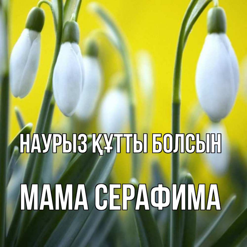 Открытка на каждый день с именем, Мама-Серафима Наурыз құтты болсын весенние цветы Прикольная открытка с пожеланием онлайн скачать бесплатно 