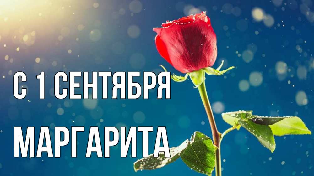 Открытка на каждый день с именем, Маргарита С 1 сентября с днем знаний Прикольная открытка с пожеланием онлайн скачать бесплатно 