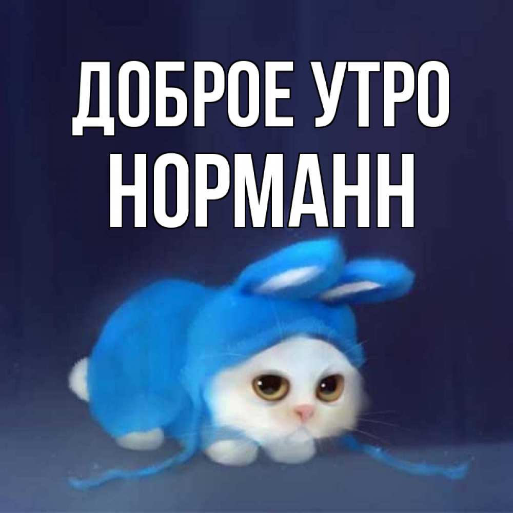 Открытка на каждый день с именем, Норманн Доброе утро открытки красивые скачать бесплатно Прикольная открытка с пожеланием онлайн скачать бесплатно 