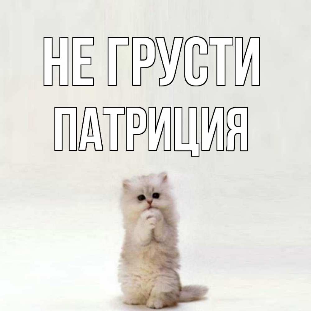 Открытка на каждый день с именем, Патриция Не грусти грустный кот Прикольная открытка с пожеланием онлайн скачать бесплатно 