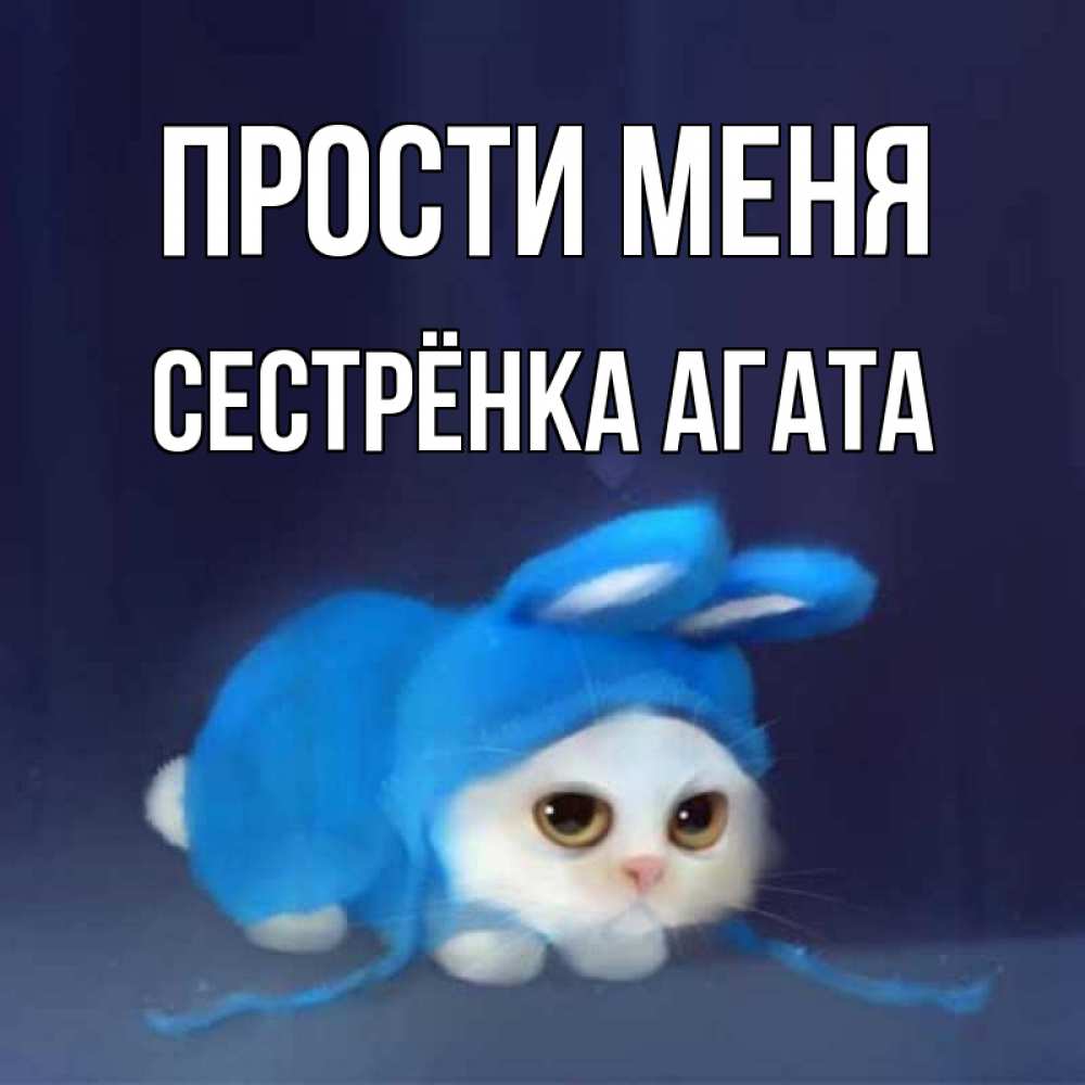 Открытка на каждый день с именем, Сестрёнка-Агата Прости меня невинный котозай просит прощения Прикольная открытка с пожеланием онлайн скачать бесплатно 