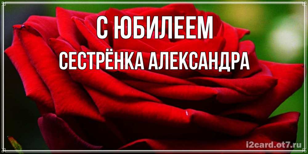 Открытка на каждый день с именем, Сестрёнка-Александра С юбилеем розочка очень красивая Прикольная открытка с пожеланием онлайн скачать бесплатно 
