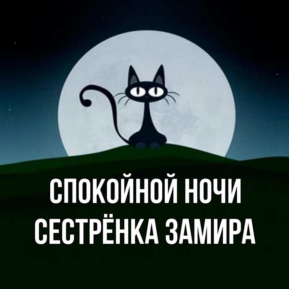 Открытка на каждый день с именем, Сестрёнка-Замира Спокойной ночи хорошо выспаться ночью и без кошмаров Прикольная открытка с пожеланием онлайн скачать бесплатно 