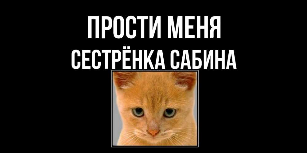 Открытка на каждый день с именем, Сестрёнка-Сабина Прости меня рыжий грустный кот просит прощения Прикольная открытка с пожеланием онлайн скачать бесплатно 