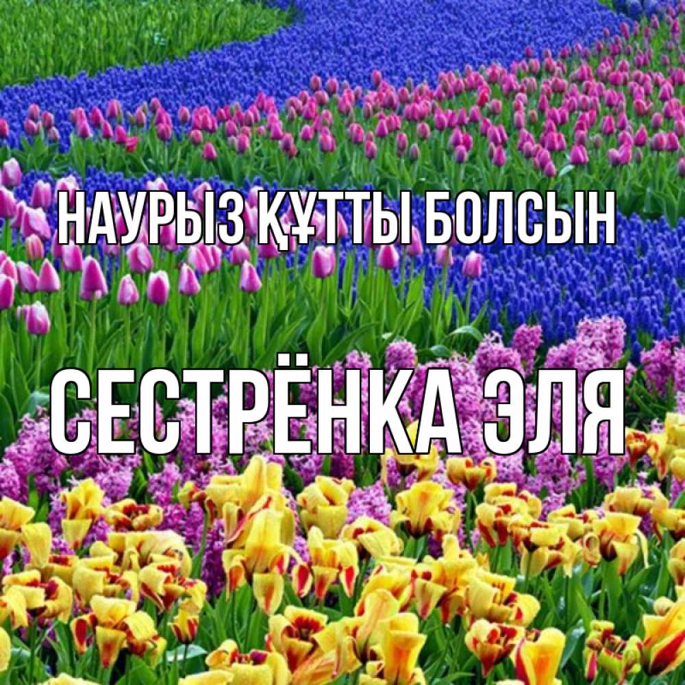 Открытка на каждый день с именем, Сестрёнка-Эля Наурыз құтты болсын цветы Прикольная открытка с пожеланием онлайн скачать бесплатно 