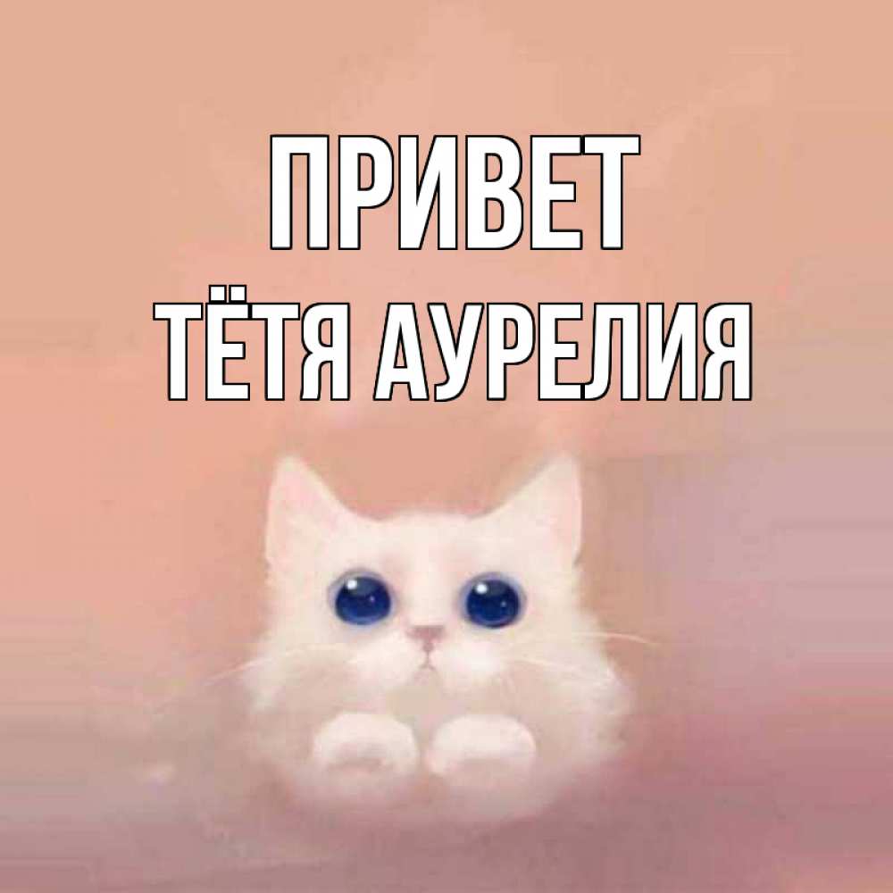 Открытка на каждый день с именем, Тётя-Аурелия Привет котик белый в полете Прикольная открытка с пожеланием онлайн скачать бесплатно 