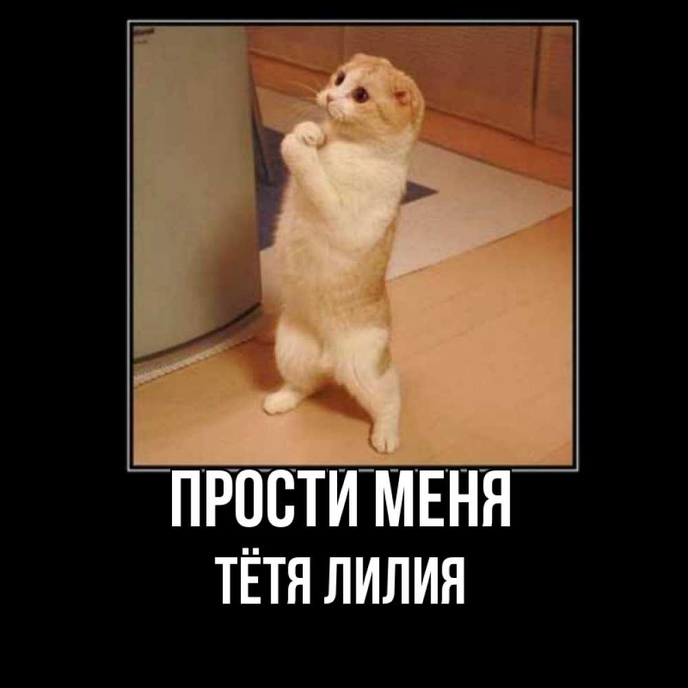 Открытка на каждый день с именем, Тётя-Лилия Прости меня открытка с милым несчастным котиком просящим прощения Прикольная открытка с пожеланием онлайн скачать бесплатно 