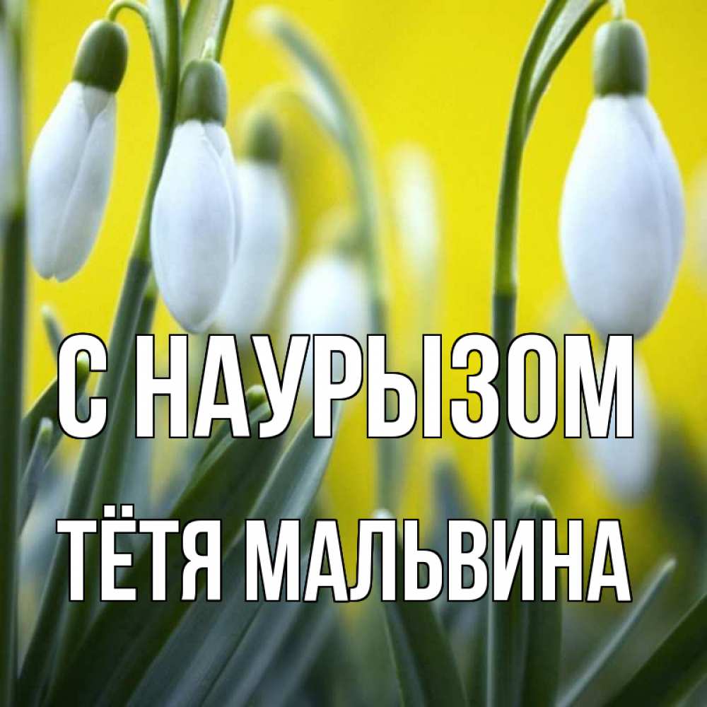 Открытка на каждый день с именем, Тётя-Мальвина С наурызом весенние цветы Прикольная открытка с пожеланием онлайн скачать бесплатно 