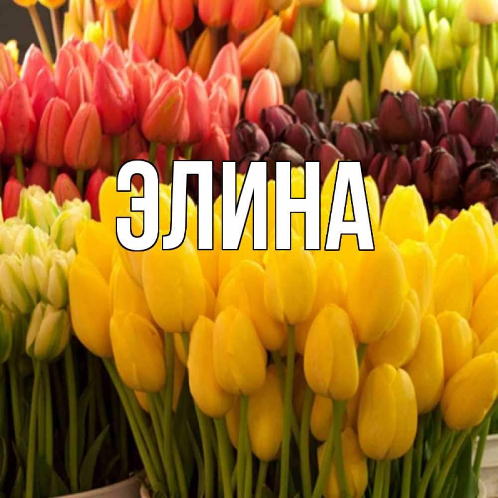 Открытка на каждый день с именем, Элина Главная цветы Прикольная открытка с пожеланием онлайн скачать бесплатно 