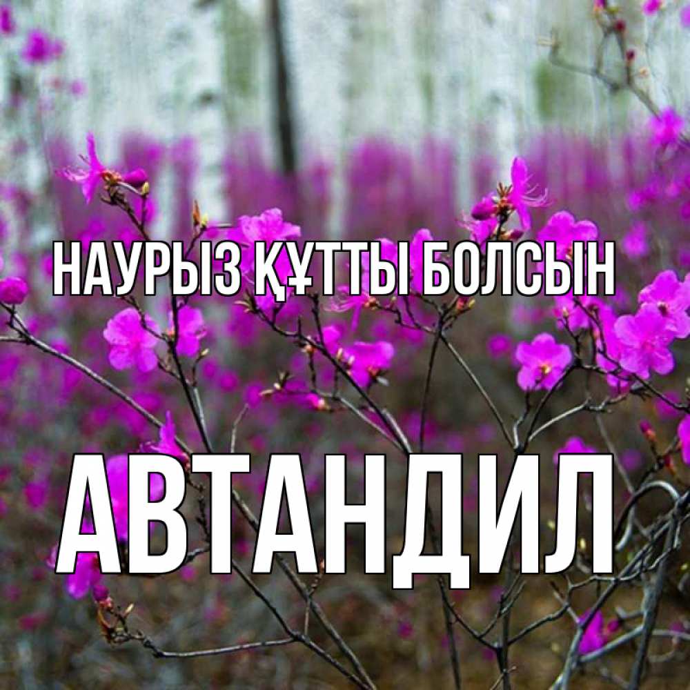 Открытка на каждый день с именем, Автандил Наурыз құтты болсын дикие цветы Прикольная открытка с пожеланием онлайн скачать бесплатно 