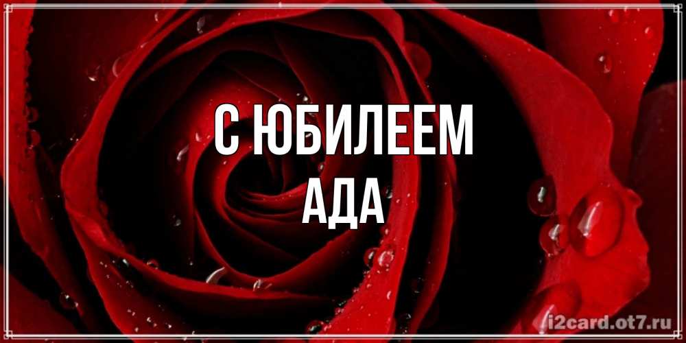 Открытка на каждый день с именем, Ада С юбилеем крупная бордовая роза Прикольная открытка с пожеланием онлайн скачать бесплатно 