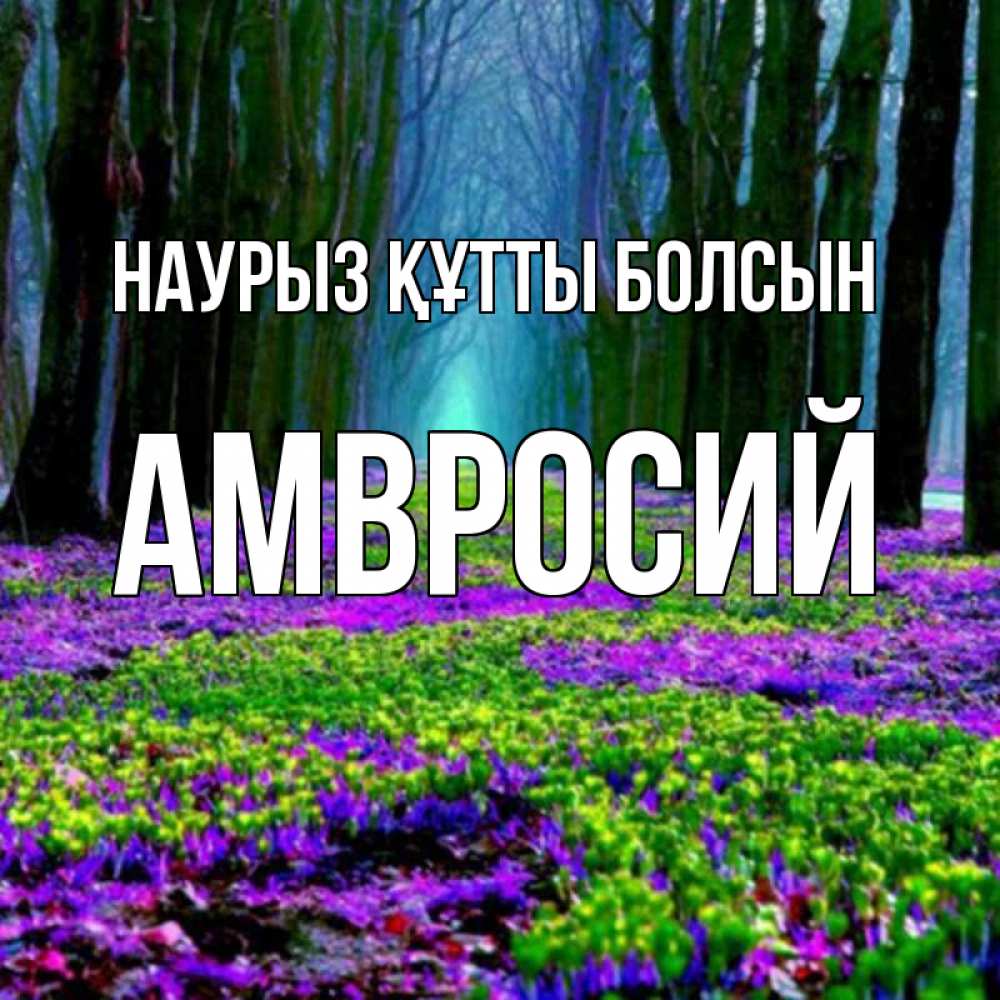Открытка на каждый день с именем, Амвросий Наурыз құтты болсын фиолетовые цветы в лесу 1 Прикольная открытка с пожеланием онлайн скачать бесплатно 