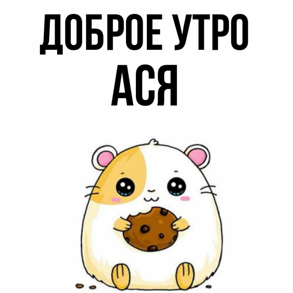 Открытка на каждый день с именем, Ася Доброе утро есть печеньку. Утречко Прикольная открытка с пожеланием онлайн скачать бесплатно 