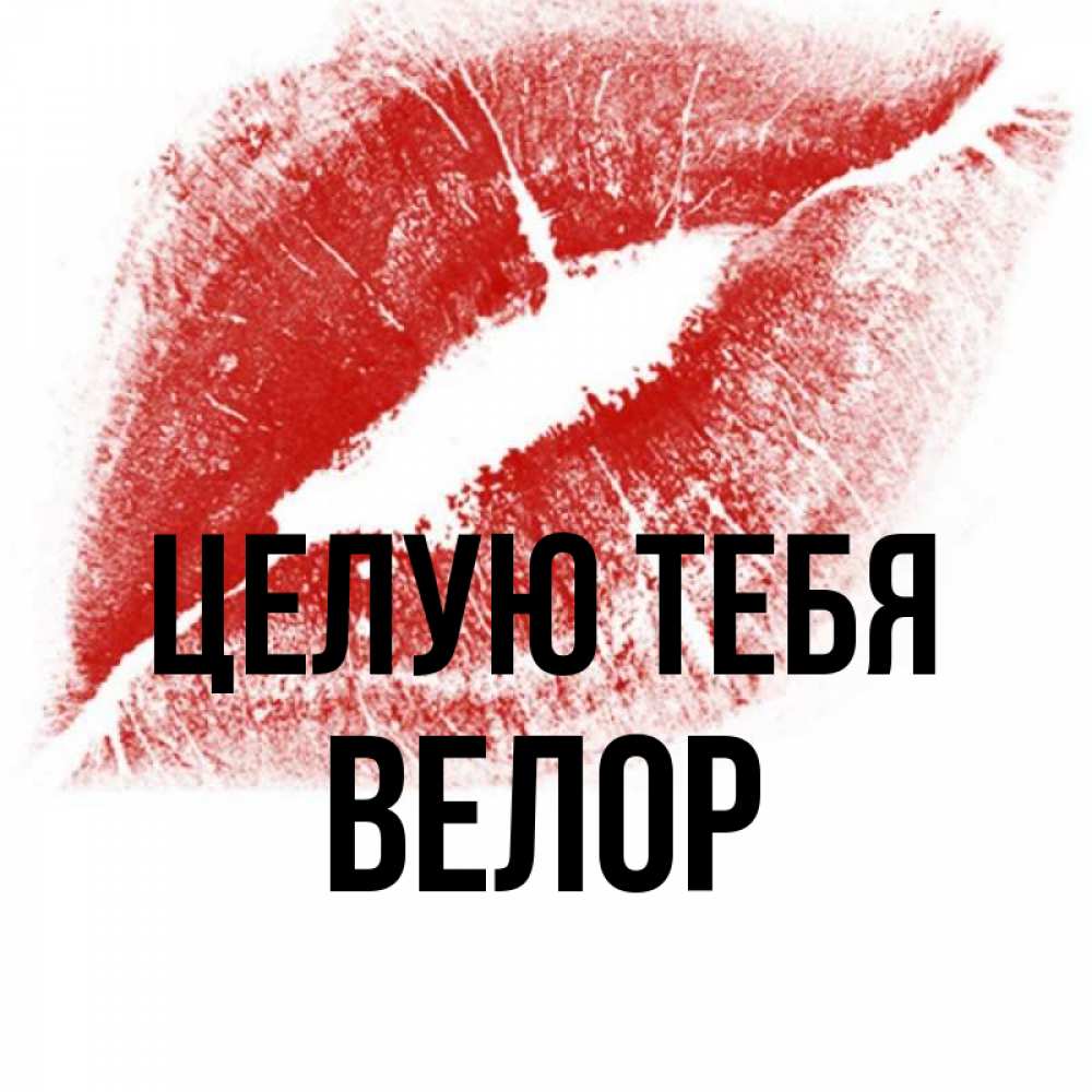 Открытка на каждый день с именем, Велор Целую тебя открытка с пожеланием поцелуя Прикольная открытка с пожеланием онлайн скачать бесплатно 