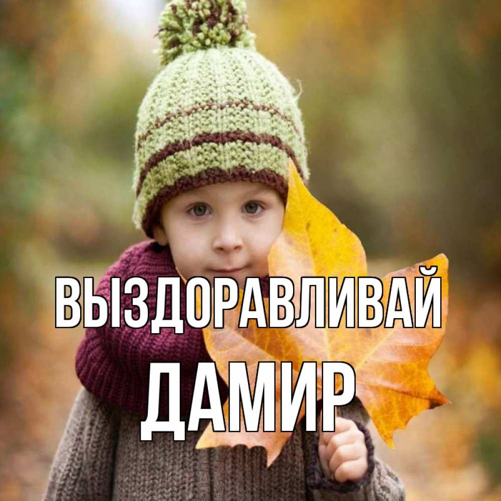 Открытка на каждый день с именем, Дамир Выздоравливай дышим свежим воздухом Прикольная открытка с пожеланием онлайн скачать бесплатно 