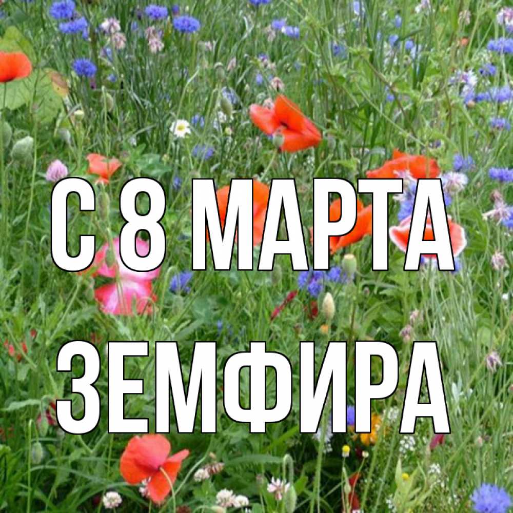 Открытка на каждый день с именем, Земфира С 8 марта международный женский день 4 Прикольная открытка с пожеланием онлайн скачать бесплатно 