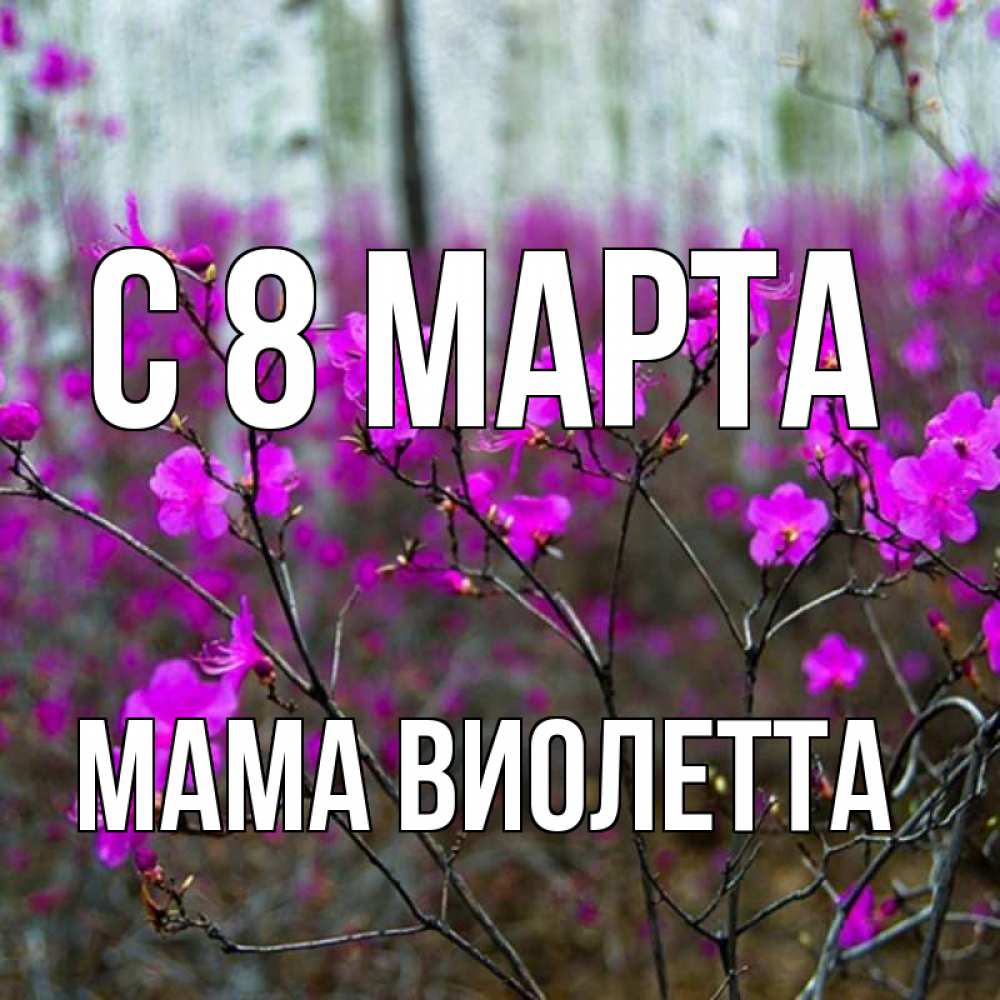 Открытка на каждый день с именем, Мама-Виолетта С 8 МАРТА дикие цветы Прикольная открытка с пожеланием онлайн скачать бесплатно 