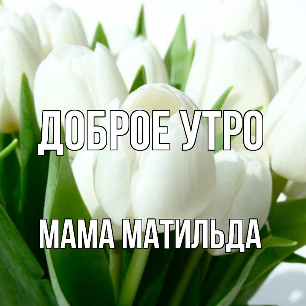 Открытка на каждый день с именем, Мама-Матильда Доброе утро открытки на каждый день по именам Прикольная открытка с пожеланием онлайн скачать бесплатно 