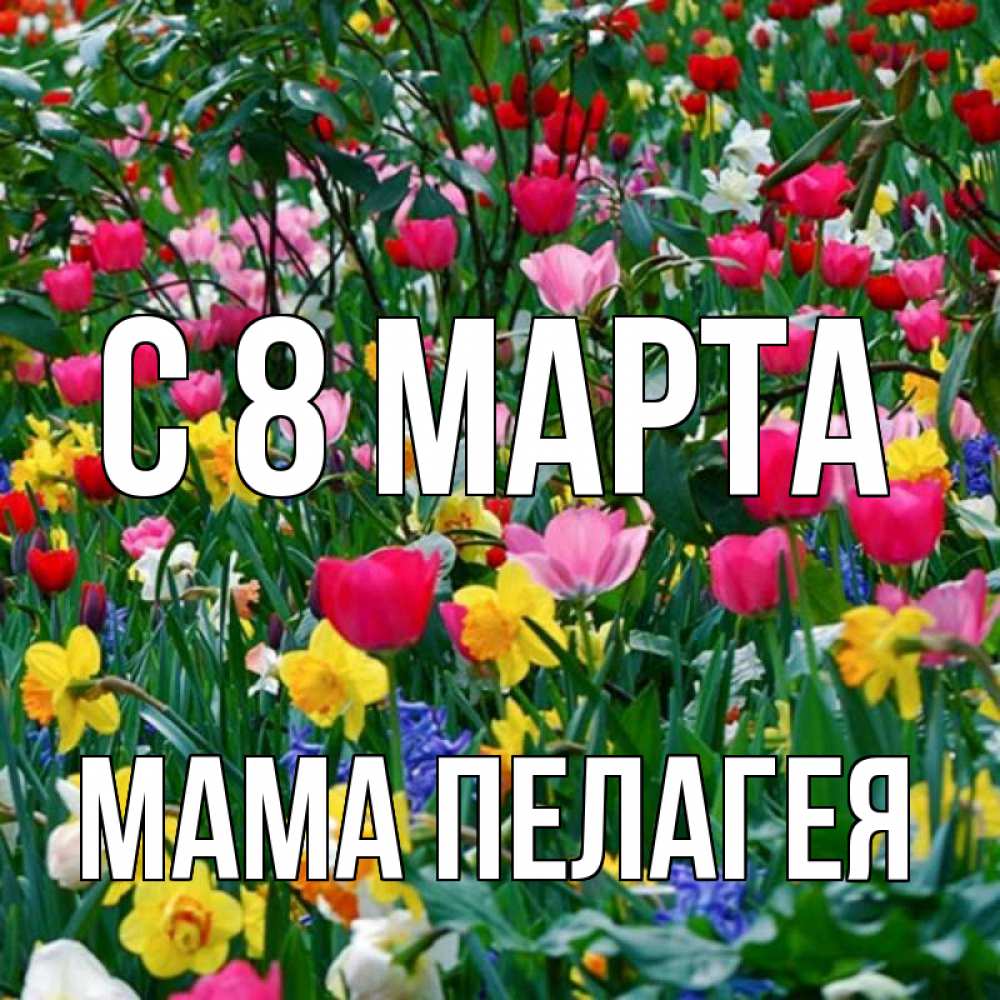 Открытка на каждый день с именем, Мама-Пелагея С 8 МАРТА с международным женским днем поздравления для женщины Прикольная открытка с пожеланием онлайн скачать бесплатно 
