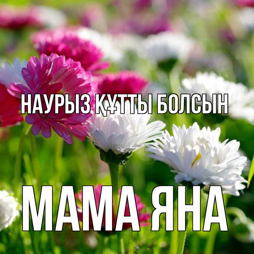 Открытка на каждый день с именем, Мама-Яна Наурыз құтты болсын наурыз Прикольная открытка с пожеланием онлайн скачать бесплатно 