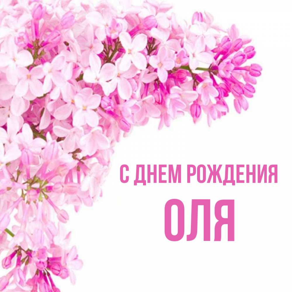 Открытка на каждый день с именем, ОЛЯ С днем рождения Сирень на белом фоне Прикольная открытка с пожеланием онлайн скачать бесплатно 