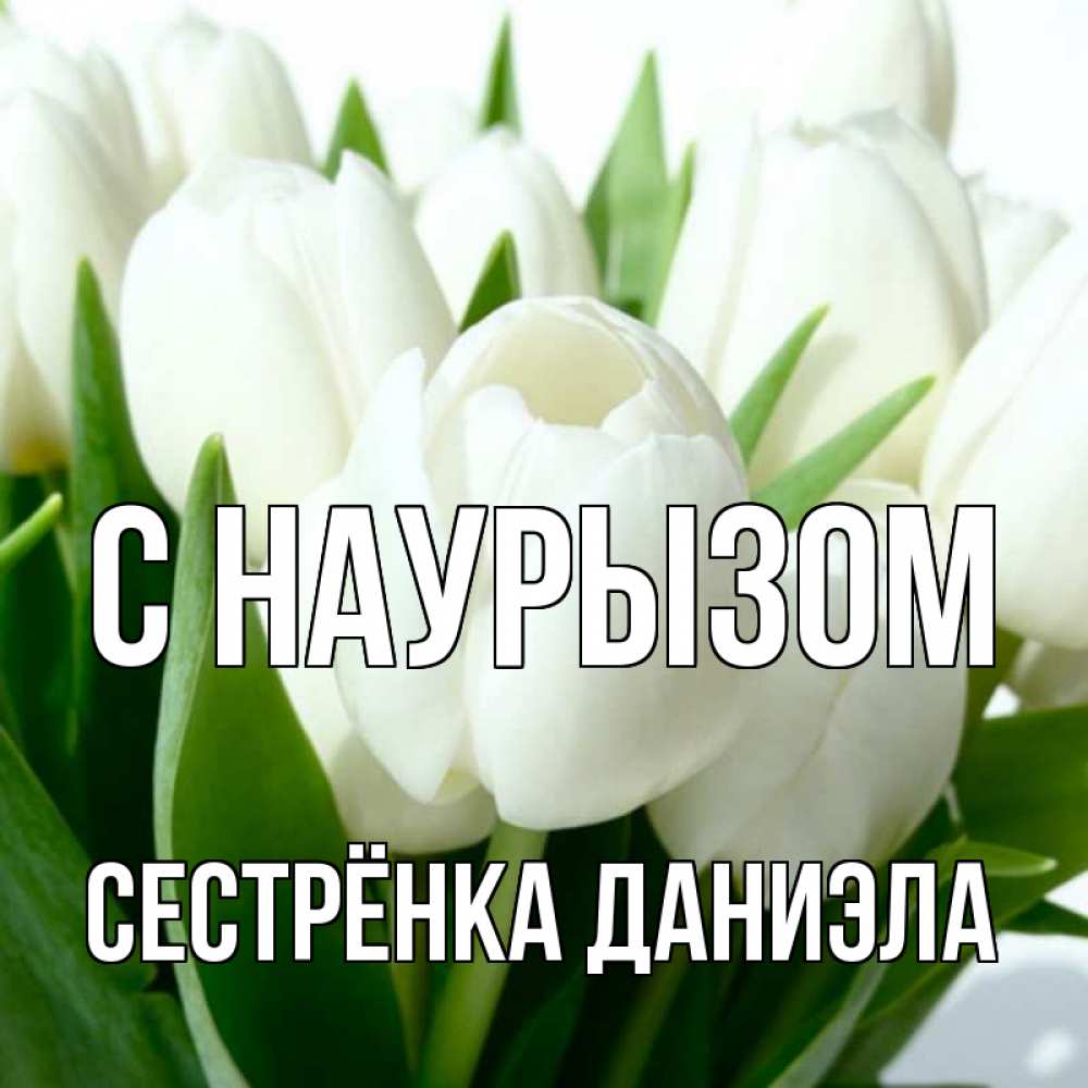 Открытка на каждый день с именем, Сестрёнка-Даниэла С наурызом цветы Прикольная открытка с пожеланием онлайн скачать бесплатно 