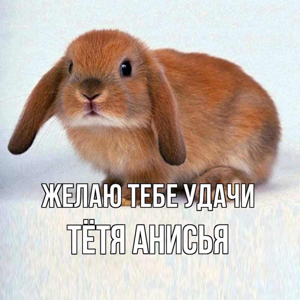 Открытка на каждый день с именем, Тётя-Анисья Желаю тебе удачи вставить текст в открытку по выбору Прикольная открытка с пожеланием онлайн скачать бесплатно 