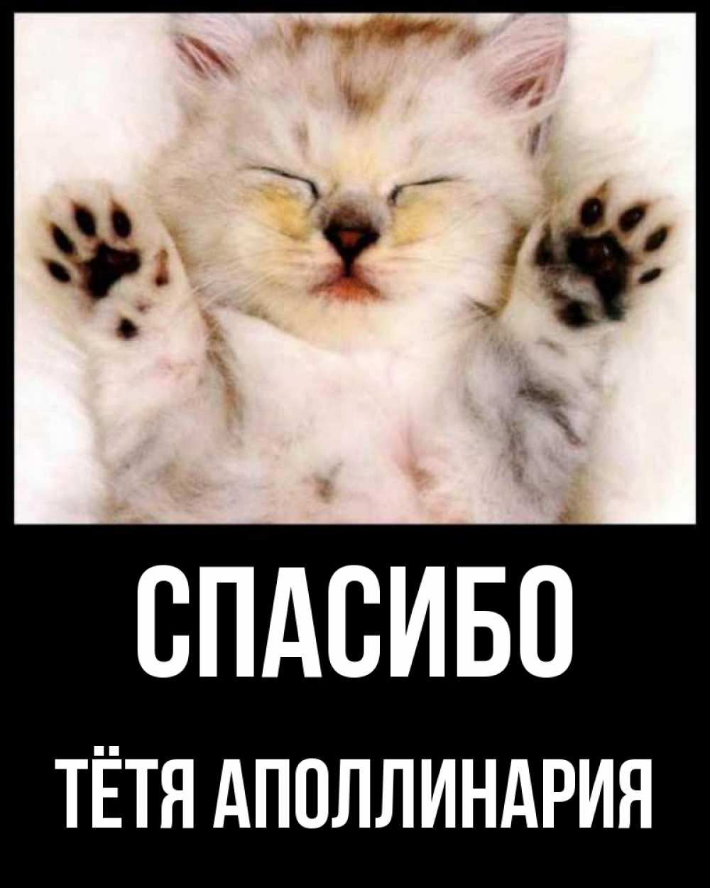 Открытка на каждый день с именем, Тётя-Аполлинария Спасибо маленький котенок Прикольная открытка с пожеланием онлайн скачать бесплатно 