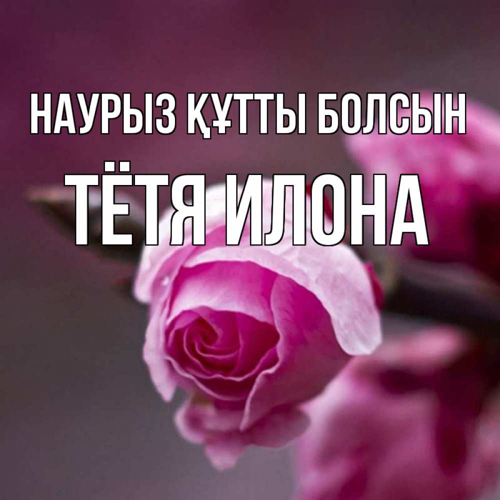 Открытка на каждый день с именем, Тётя-Илона Наурыз құтты болсын весна Прикольная открытка с пожеланием онлайн скачать бесплатно 