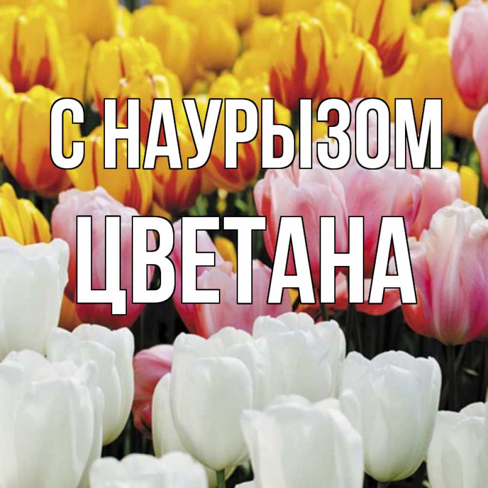 Открытка на каждый день с именем, Цветана С наурызом разноцветные цветы Прикольная открытка с пожеланием онлайн скачать бесплатно 