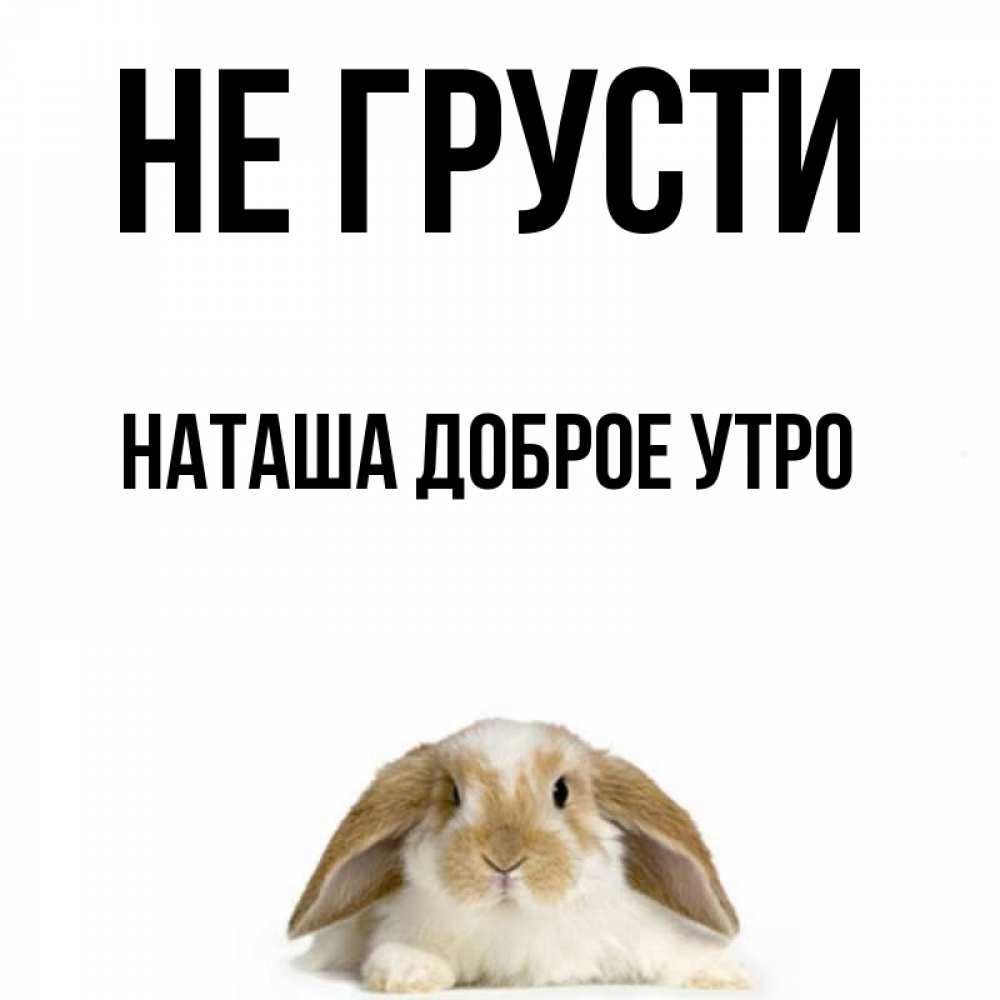 Доброе утро не грусти картинки