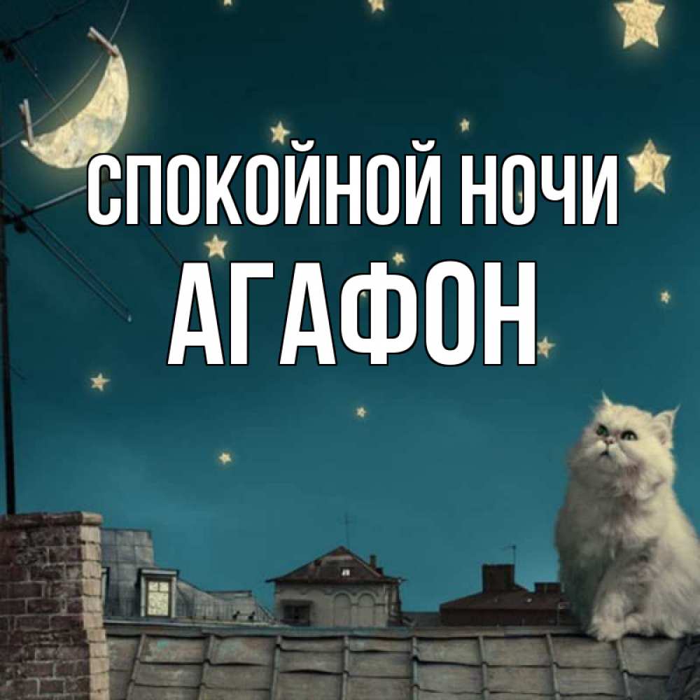 Открытка на каждый день с именем, Агафон Спокойной ночи белый кот сидит на крыше Прикольная открытка с пожеланием онлайн скачать бесплатно 