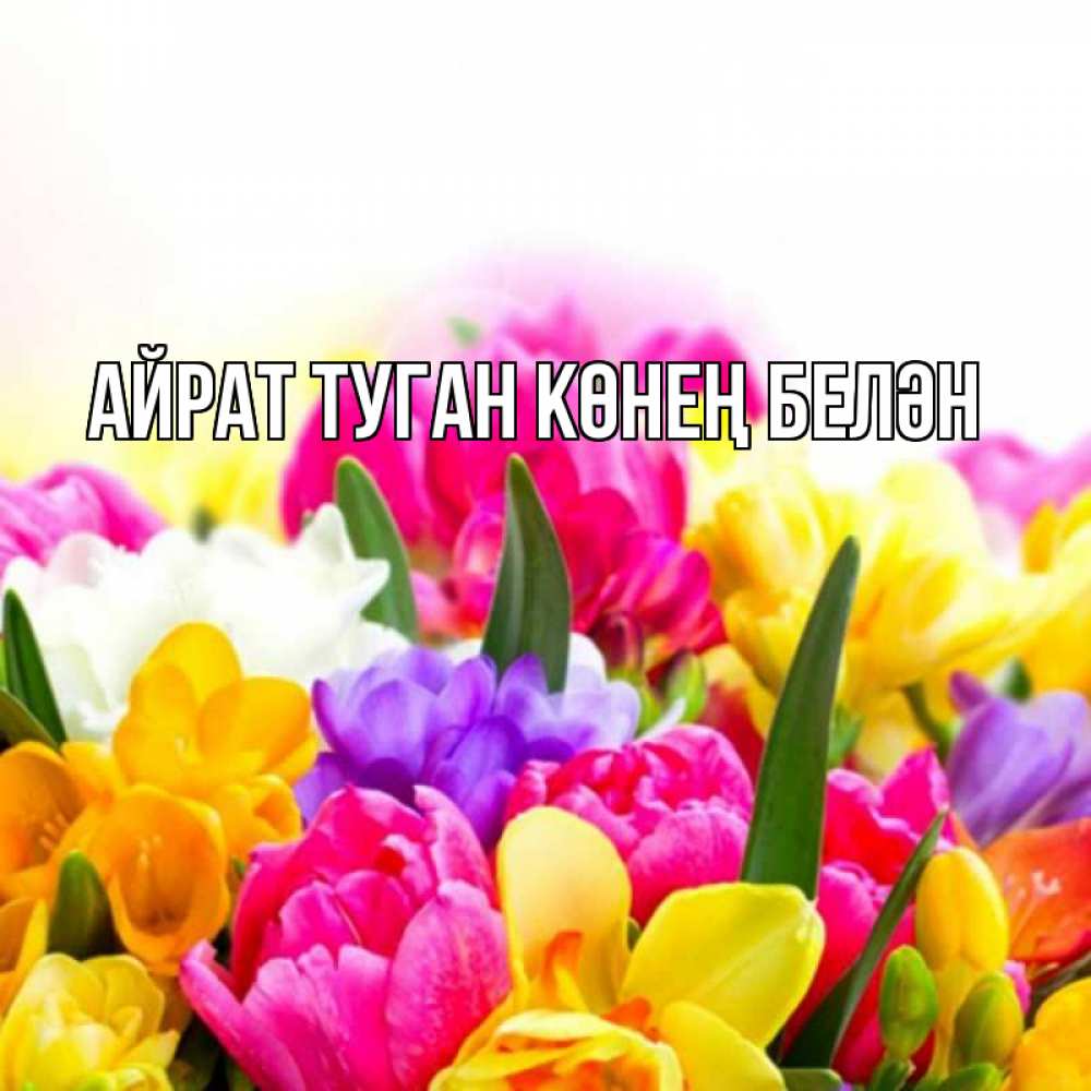 Открытка на каждый день с именем, Айрат-туган-көнең-белән Главная тюльпаны Прикольная открытка с пожеланием онлайн скачать бесплатно 